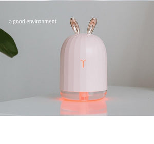 Cute Essential Oil Diffuser/Air Humidifier